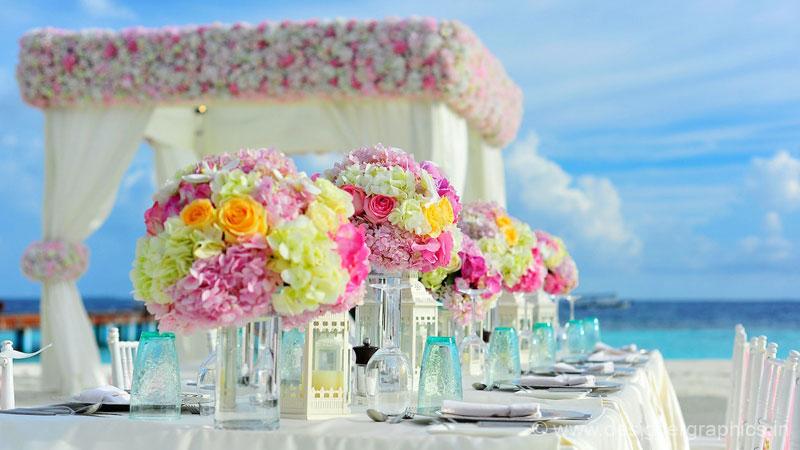 Reception-2